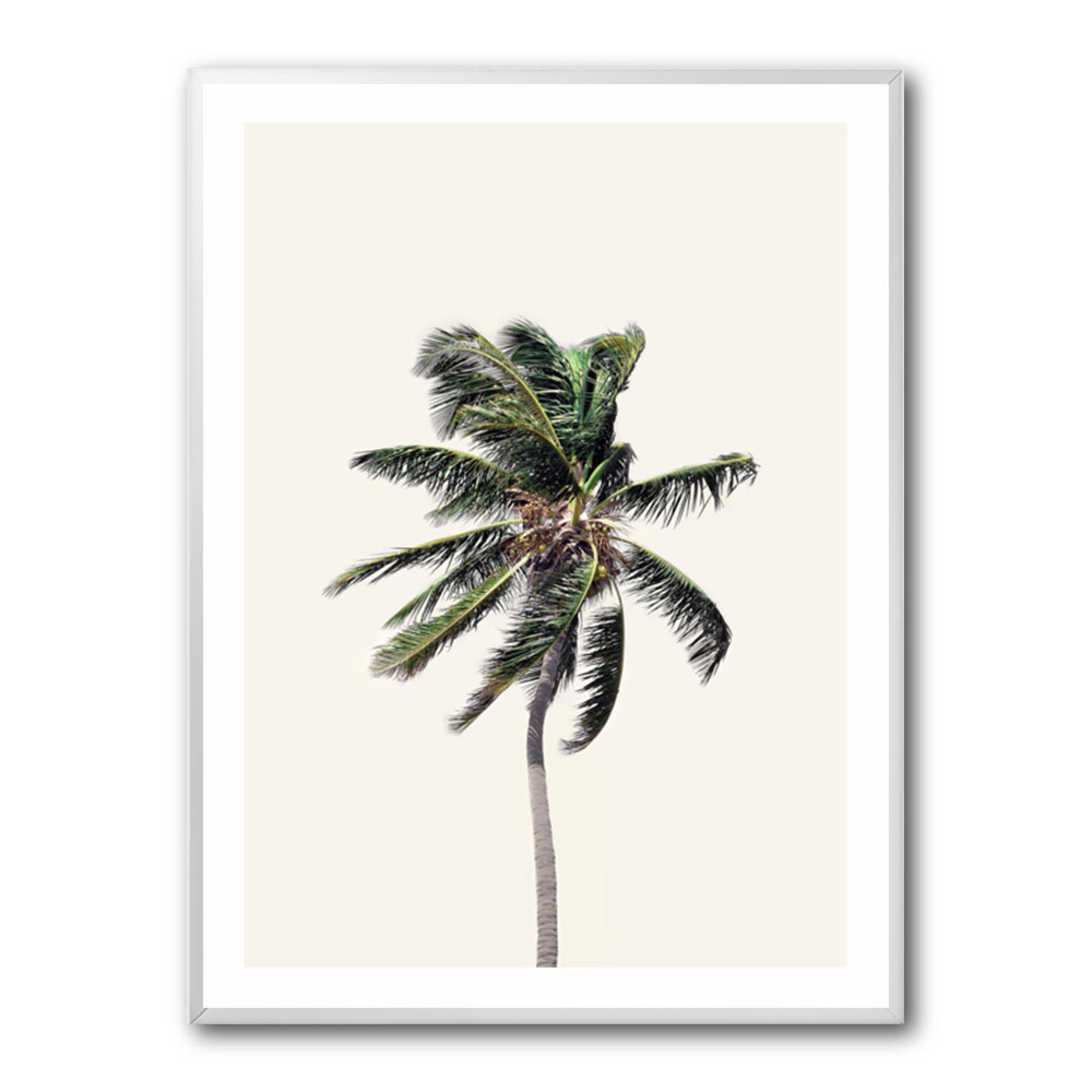 Windy Palm Tree Wall Art